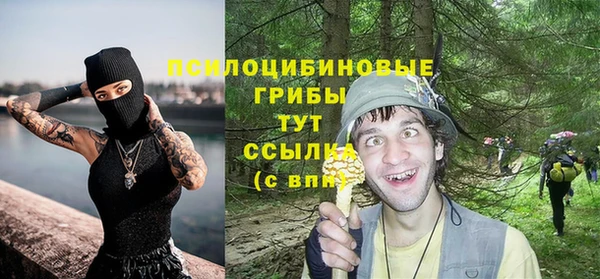 альфа пвп Горняк