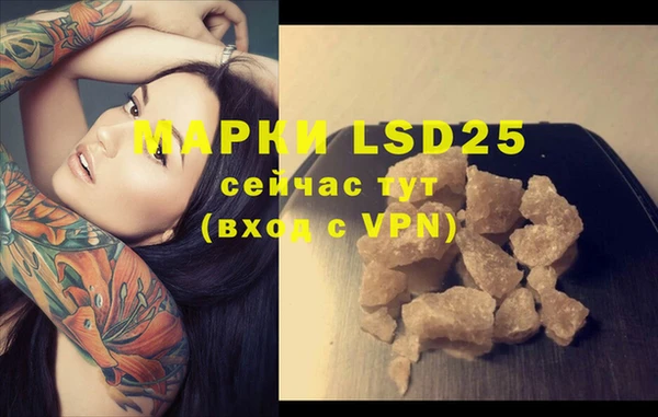 спиды Вяземский