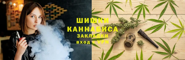 хмурый Горно-Алтайск