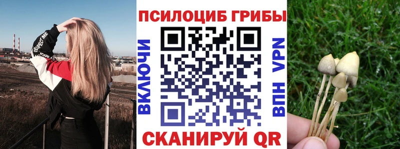 купить   Зеленокумск  Псилоцибиновые грибы GOLDEN TEACHER 