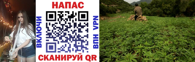 Шишки марихуана Ganja  даркнет сайт  Зеленокумск 